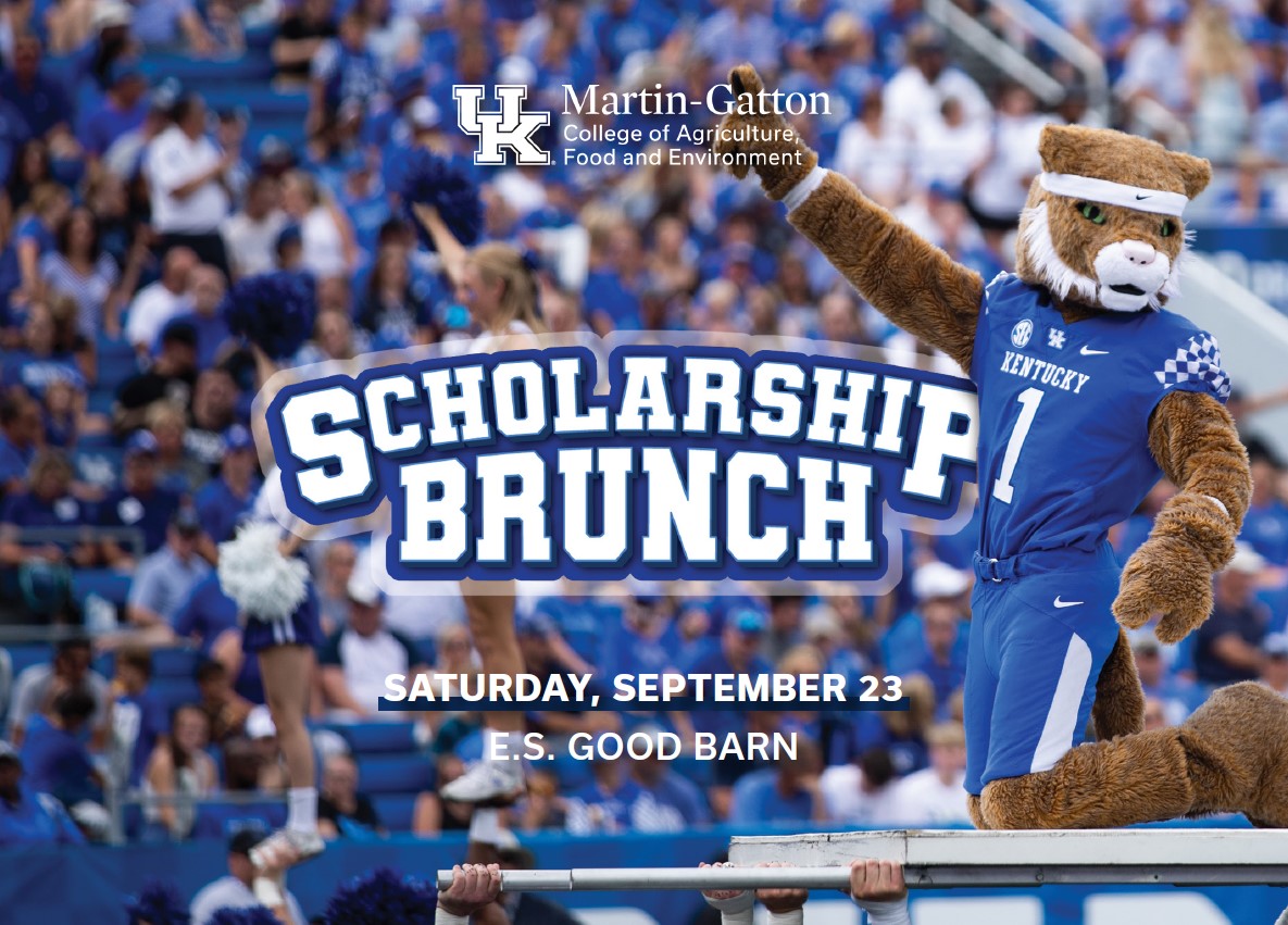 Scholarship Brunch Invite Image